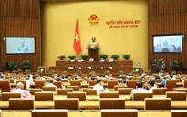 Tổ chức thí điểm mô hình chính quyền đô thị một cấp tại Đà Nẵng