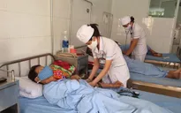 Quảng Bình có trên 1.000 người mắc sốt xuất huyết