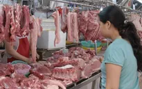Giá thịt lợn hơi vẫn ở mức gần 100.000 đồng/kg