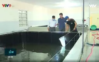 Quy hoạch vùng sản xuất thủy sản gắn với chiến lược phát triển kinh tế biển bền vững