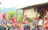 Hôn nhân cận huyết: anh em họ, cậu cháu lấy nhau vẫn được chấp nhận?