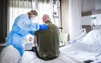 Hà Lan: Ca nhiễm COVID-19 nghi lây từ chồn nuôi