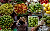 Trái cây Thái Lan tràn ngập chợ Việt
