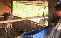 Xin thoát nghèo để nhường suất hỗ trợ cho hộ khó khăn hơn