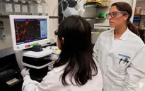 Công ty Mỹ thử vaccine phòng SARS-CoV-2 trên người tại Australia
