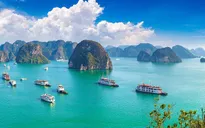Giảm giá không phanh, doanh nghiệp du lịch "dìm nhau xuống đáy"