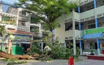 Trong 1 năm, 5 vụ tai nạn thương tích tại trường lớp: Từ cây đổ, điện giật đến bỏng lúc học
