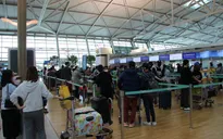 Đưa gần 340 công dân Việt Nam từ Hàn Quốc về nước