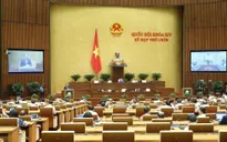 ĐBQH: "Cho kinh doanh dịch vụ đòi nợ thuê là khoác áo giáp kiên cố cho tín dụng đen”