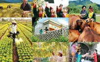 Kiện toàn BCĐ Trung ương về giảm nghèo bền vững