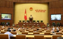 Cháy rừng là một loại hình thiên tai đặc thù