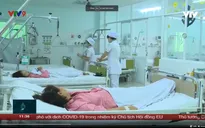 Gia tăng số ca bệnh sốt xuất huyết nặng tại Khánh Hòa