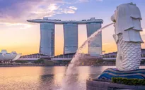 Phát tán tin giả về COVID-19, một tài xế ở Singapore bị phạt tù 4 tháng