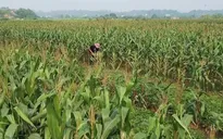 Người lao động mong ngóng gói hỗ trợ 62.000 tỷ đồng