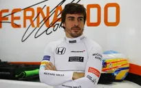 Người hâm mộ muốn Fernando Alonso trở lại F1