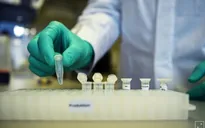 Mỹ thử nghiệm ít nhất 14 loại vaccine phòng virus SARS-CoV-2