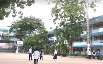 Ai quản lý cây xanh trong trường học: Nhập nhằng câu trả lời!