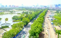 Cây xanh đô thị: Không phải cứ thích là trồng!