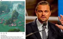Tài tử Leonardo DiCaprio kêu gọi bảo vệ môi trường Vịnh Lan Hạ