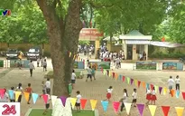 Hà Nội khẩn trương rà soát cây xanh trong trường học