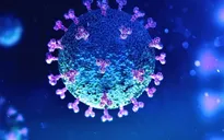 WHO: Virus SARS-CoV-2 có nguồn gốc tự nhiên