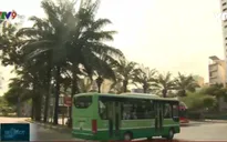TP.HCM: Xe buýt được phép hoạt động trở lại