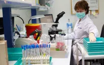 Israel phân lập thành công kháng thể chống virus SARS-CoV-2