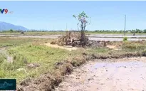 Khoanh vùng sản xuất: "Giải pháp mềm" ứng phó hiệu quả với nắng hạn