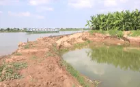 Đất cồn An Giang bị sạt lở vì khai thác cát trái phép