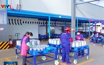 Hoạt động sản xuất toàn cầu giảm xuống mức thấp nhất trong 11 năm