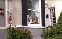 Vườn thú đường phố đặc biệt ở thủ đô nước Mỹ