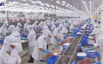Nhiều điểm sáng xuất khẩu cá tra