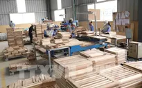 Ngành gỗ đề xuất giải pháp gỡ khó của doanh nghiệp trong điều kiện bình thường mới