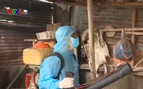 TP.HCM xuất hiện 6 ổ dịch sốt xuất huyết nhỏ