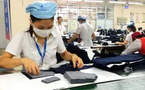 Hơn 77.000 lao động muốn hưởng bảo hiểm thất nghiệp
