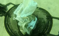 Pháp "loay hoay" tìm phương án xử lý hơn 2 tỷ khẩu trang y tế sau khi sử dụng
