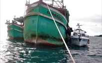 Bắt giữ hai tàu cá có hành vi mua bán, vận chuyển dầu D.O trái phép