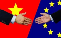 EVFTA mở đường cho hàng hóa châu Âu chất lượng cao vào Việt Nam