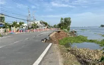 Nguy cơ gia tăng sạt lở trong mùa mưa tại Đồng bằng sông Cửu Long