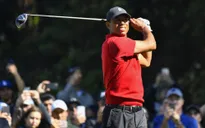 Tiger Woods sẽ không tham dự RBC Heritage 2020