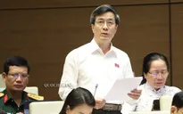 ĐBQH: "Dọn tổ đón đại bàng", cũng nên "rắc thóc cho chào mào, chim sẻ"