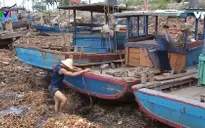 Cảng cá Tân Sơn bị lục bình "bủa vây"