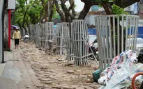 Lắp camera, bọc "giáp sắt" bảo vệ sưa đỏ quý hiếm