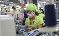 Biết người biết ta, trăm trận trăm thắng - "EVFTA không phải bàn tiệc được dọn sẵn"