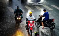 Bao giờ có "mưa vàng" giải nhiệt xua tan nắng nóng?
