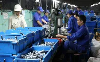 Giảm thuế thu nhập doanh nghiệp: Cần đúng và đủ!