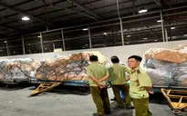 Phát hiện lô hàng lậu "khủng" vận chuyển bằng đường hàng không