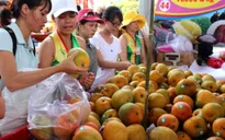 Rau quả Việt “tính kế” đa dạng hóa thị trường từ EVFTA