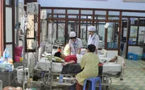 Cảnh báo: Số ca mắc sốt xuất huyết đang gia tăng