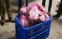 Bắt giữ 1,5 tấn thịt vịt, nầm lợn bốc mùi hôi thối
